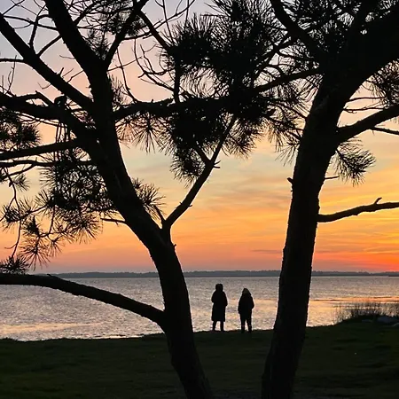 Reethaus Rosengarten Ruegen Gegenueber Hiddensee - Whg Strauchrose Im Dg Appartamento *