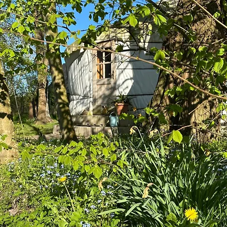 Lejlighed Reethaus Rosengarten - Whg Strauchrose Im Dg - Ruegen Gegenueber Hiddensee Schaprode