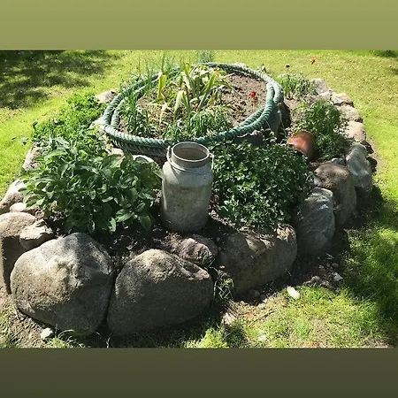 Reethaus Rosengarten Ruegen Gegenueber Hiddensee - Whg Strauchrose Im Dg Schaprode